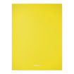 Picture of DISPLAY BOOK A4 X40 NEON YELLOW
